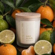 La bougie parfumée à la mandarine, posée parmi les agrumes frais, rosé du matin dessus - Niõ