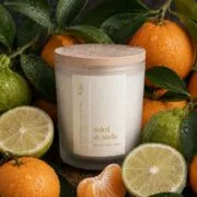 La bougie parfumée à la mandarine, posée parmi les agrumes frais, rosé du matin dessus - Niõ