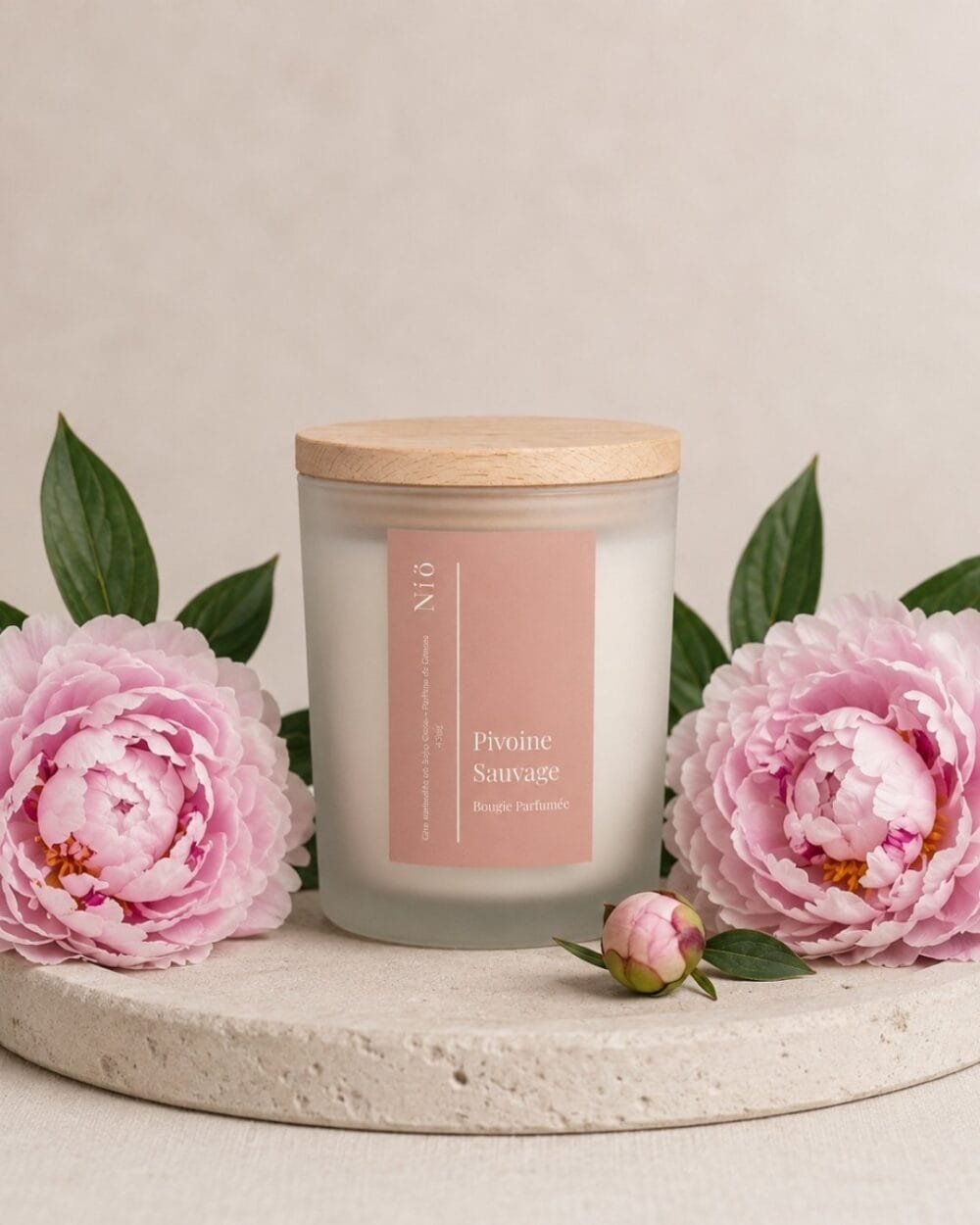Pivoine Sauvage