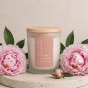 Pivoine Sauvage