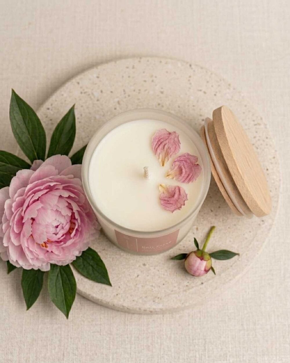 Pivoine Sauvage