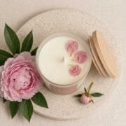 Pivoine Sauvage