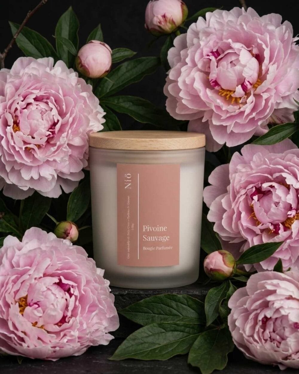 Pivoine Sauvage
