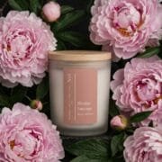 Pivoine Sauvage