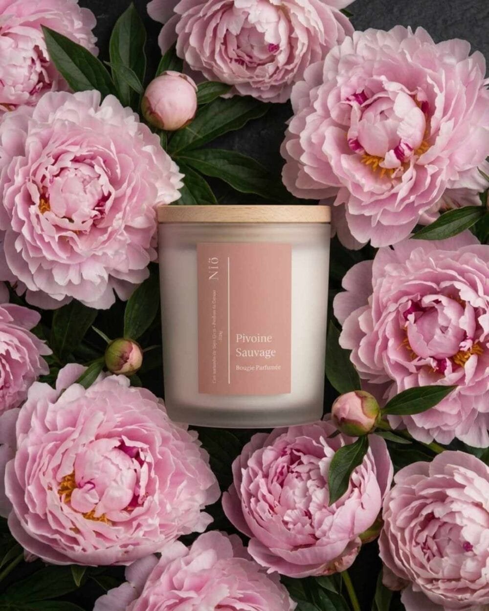 Pivoine Sauvage