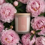 Pivoine Sauvage
