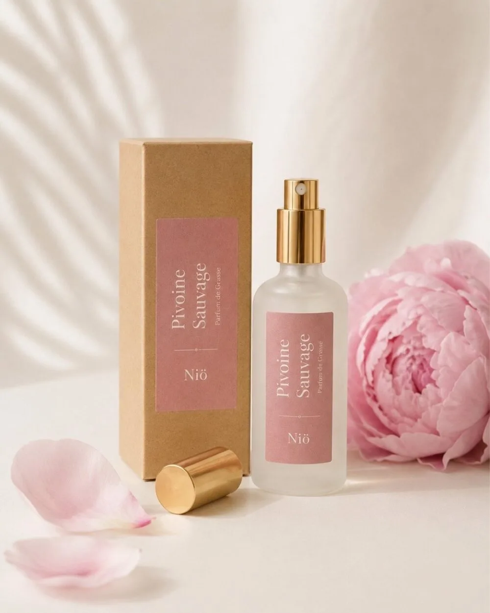 Pivoine Sauvage