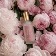 Pivoine Sauvage