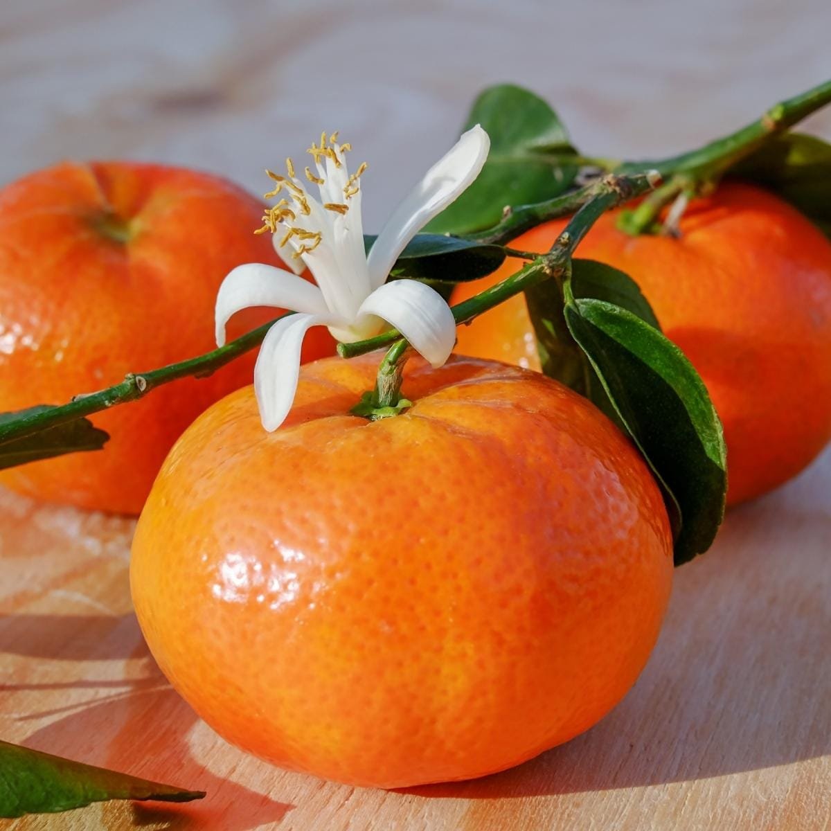 Mandarine 1 Mandarine comme note olfactive dans les bougies, fondants et autres diffuseurs de parfums d'ambiance chez Niõ