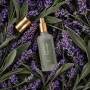Herbier Sauvage