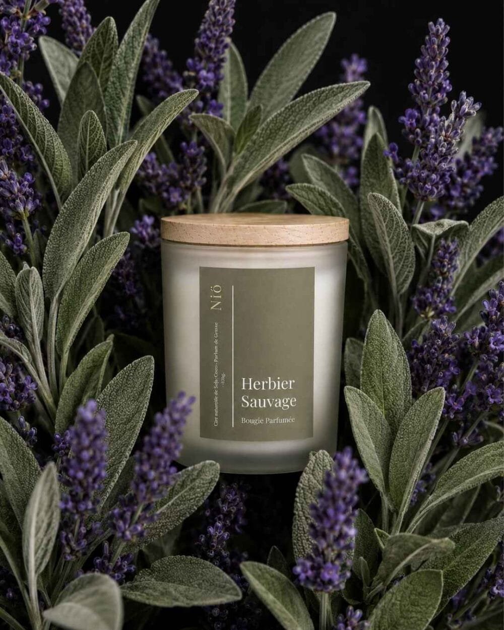 Herbier Sauvage