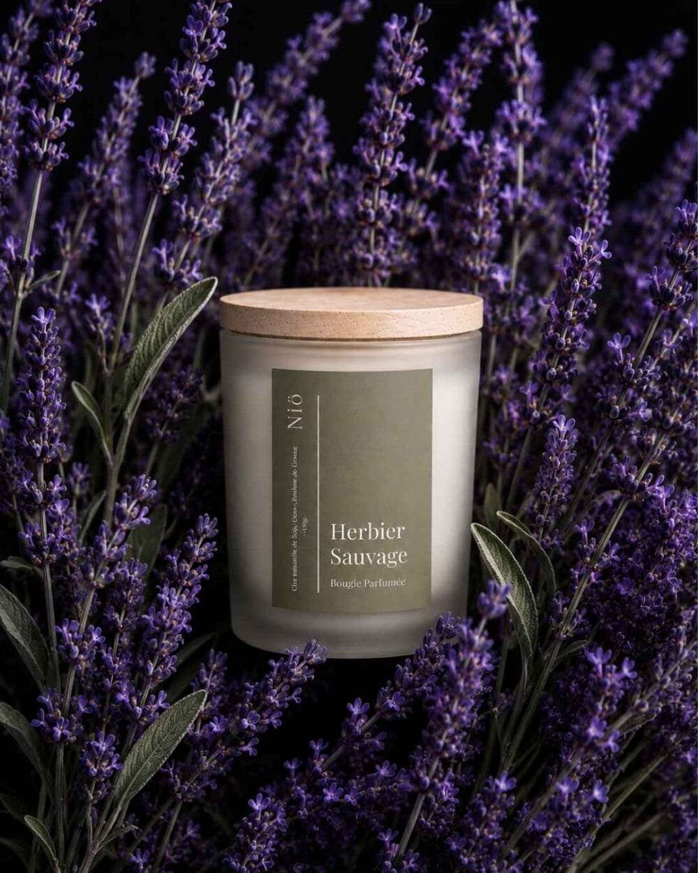 Herbier Sauvage