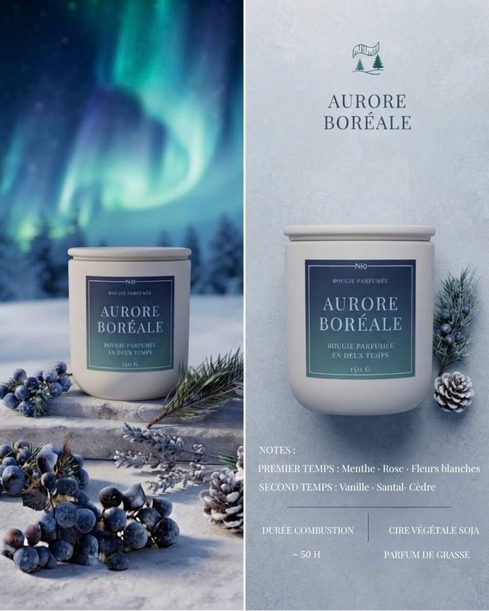 Aurores Boréales