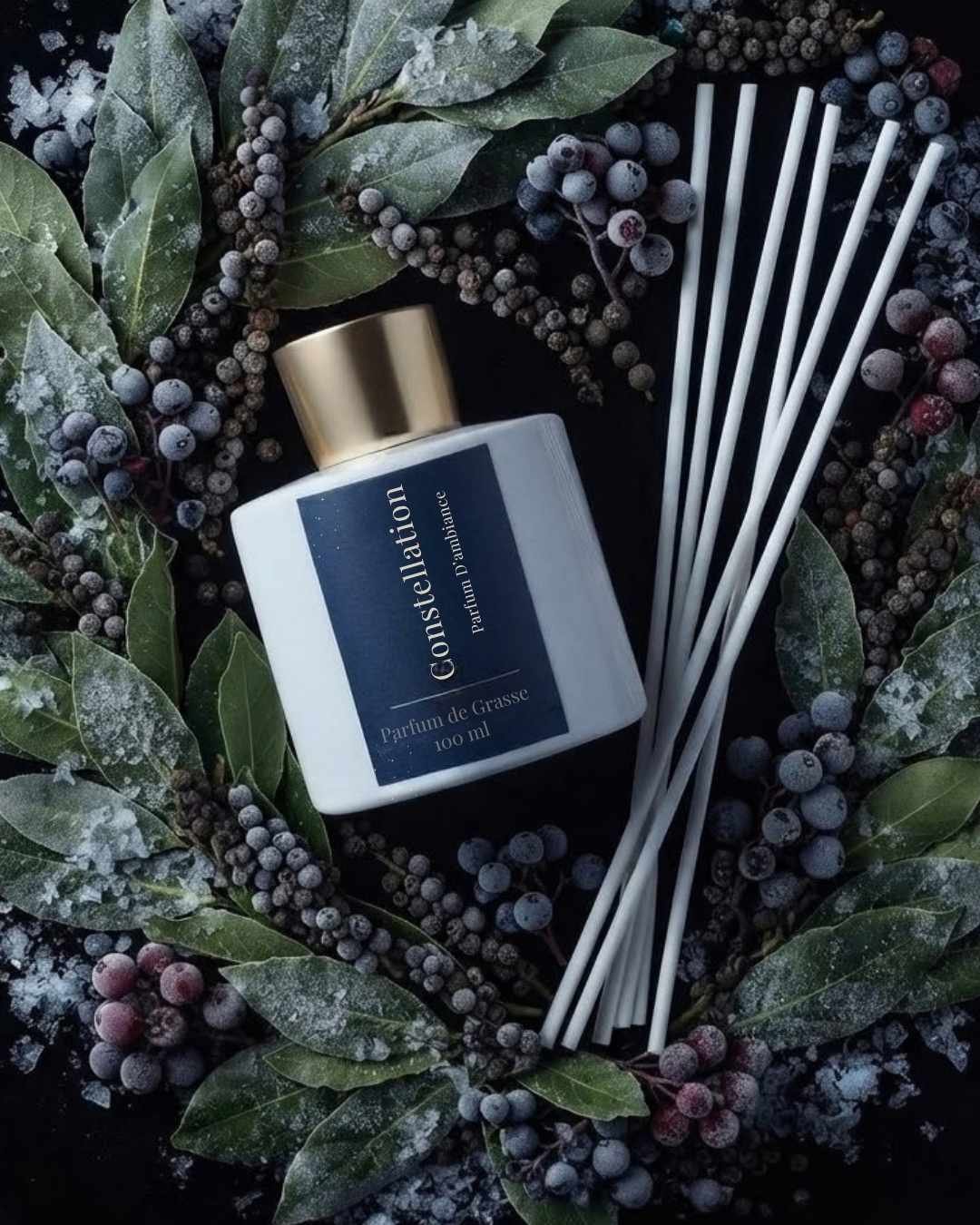 Ambiance lecture et cocooning : mon rituel du soir pour lire 2 Diffuseur de parfum Constellation par Niõ