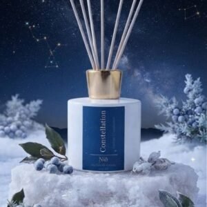 Diffuseur de parfum d'ambiance Constellation de Niõ dans une scène de Nuit Polaire entouré des baies, des lauriers et des givres