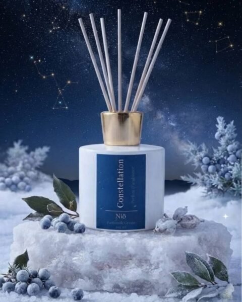 Diffuseur de parfum d'ambiance Constellation de Niõ dans une scène de Nuit Polaire entouré des baies, des lauriers et des givres